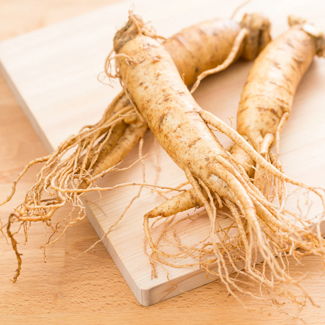Panax Ginseng