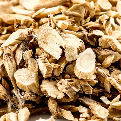 Astragalus