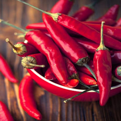 Capsicum Annuum